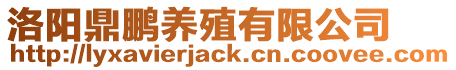 洛陽(yáng)鼎鵬養(yǎng)殖有限公司