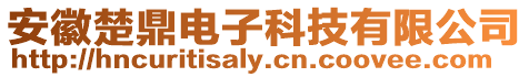 安徽楚鼎電子科技有限公司