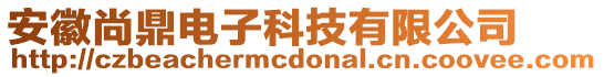 安徽尚鼎電子科技有限公司