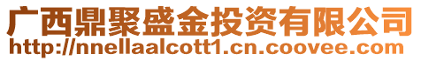 廣西鼎聚盛金投資有限公司