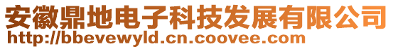 安徽鼎地電子科技發展有限公司