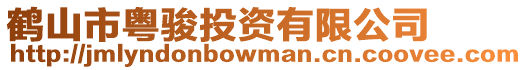 鶴山市粵駿投資有限公司