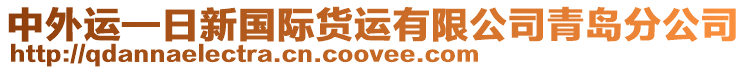 中外運—日新國際貨運有限公司青島分公司