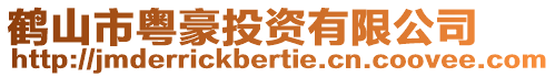 鶴山市粵豪投資有限公司