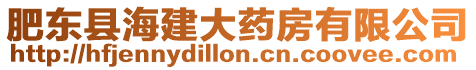 肥東縣海建大藥房有限公司