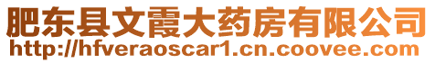 肥東縣文霞大藥房有限公司
