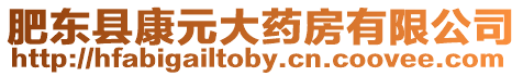 肥東縣康元大藥房有限公司