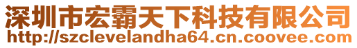 深圳市宏霸天下科技有限公司