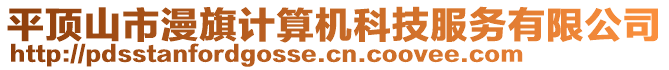 平頂山市漫旗計(jì)算機(jī)科技服務(wù)有限公司