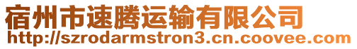 宿州市速騰運(yùn)輸有限公司