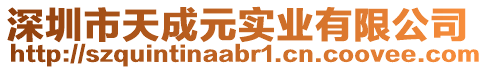 深圳市天成元實(shí)業(yè)有限公司