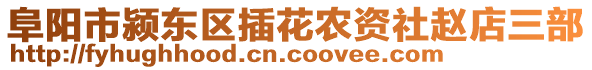 阜陽(yáng)市潁東區(qū)插花農(nóng)資社趙店三部