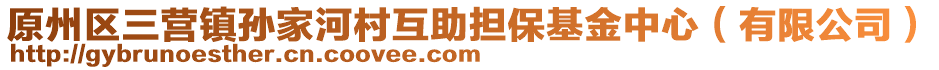 原州區(qū)三營鎮(zhèn)孫家河村互助擔(dān)保基金中心（有限公司）