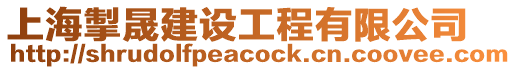 上海掣晟建設工程有限公司
