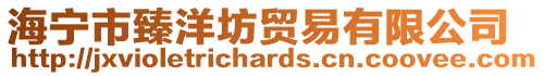 海寧市臻洋坊貿易有限公司
