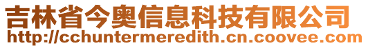 吉林省今奧信息科技有限公司