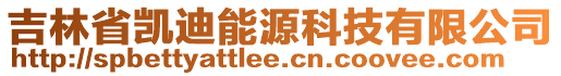 吉林省凱迪能源科技有限公司