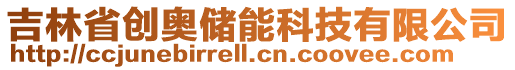 吉林省創(chuàng)奧儲(chǔ)能科技有限公司