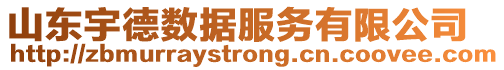 山東宇德數據服務有限公司