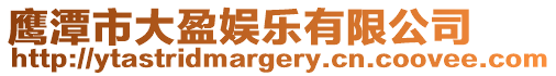 鷹潭市大盈娛樂有限公司