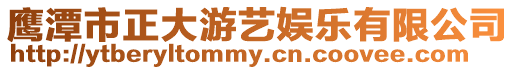 鷹潭市正大游藝娛樂有限公司