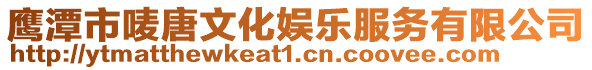鷹潭市嘜唐文化娛樂服務(wù)有限公司