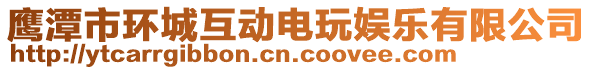 鷹潭市環城互動電玩娛樂有限公司