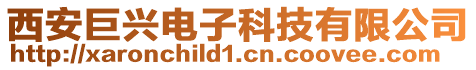 西安巨興電子科技有限公司