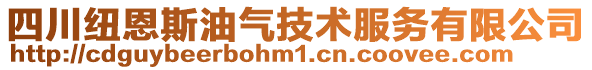 四川紐恩斯油氣技術(shù)服務(wù)有限公司