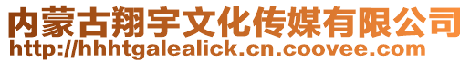 內蒙古翔宇文化傳媒有限公司