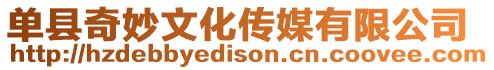 單縣奇妙文化傳媒有限公司