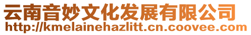 云南音妙文化發展有限公司