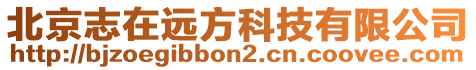 北京志在遠(yuǎn)方科技有限公司