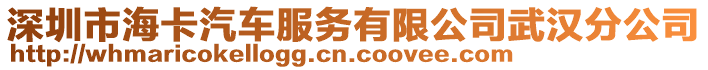 深圳市?？ㄆ嚪?wù)有限公司武漢分公司