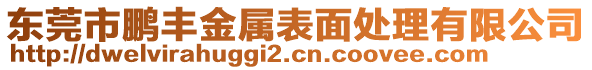 東莞市鵬豐金屬表面處理有限公司