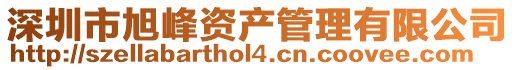 深圳市旭峰資產(chǎn)管理有限公司