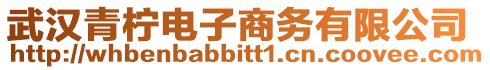 武漢青檸電子商務有限公司
