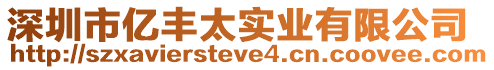 深圳市億豐太實業有限公司
