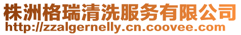株洲格瑞清洗服務有限公司