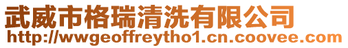武威市格瑞清洗有限公司