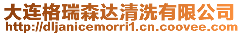大連格瑞森達(dá)清洗有限公司