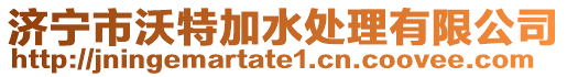 濟寧市沃特加水處理有限公司