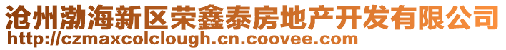 滄州渤海新區榮鑫泰房地產開發有限公司