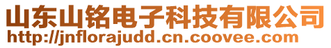 山東山銘電子科技有限公司
