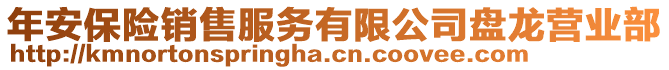 年安保险销售服务有限公司盘龙营业部