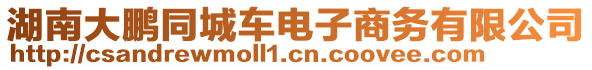 湖南大鹏同城车电子商务有限公司