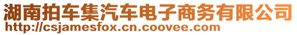 湖南拍車集汽車電子商務有限公司