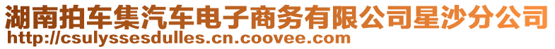 湖南拍車集汽車電子商務有限公司星沙分公司