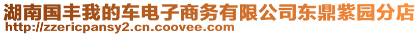 湖南國豐我的車電子商務有限公司東鼎紫園分店