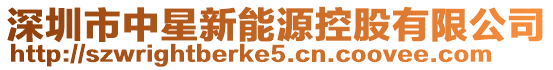 深圳市中星新能源控股有限公司